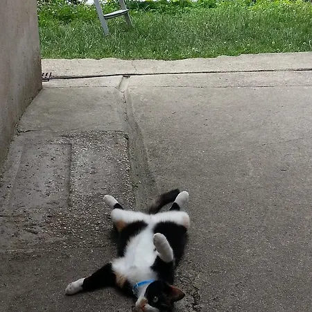 Affittacamere Guest House Konjic Konjic