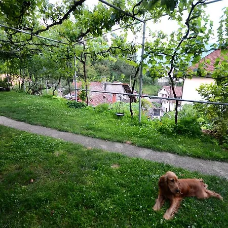 Guest house Guest House Konjic Konjic