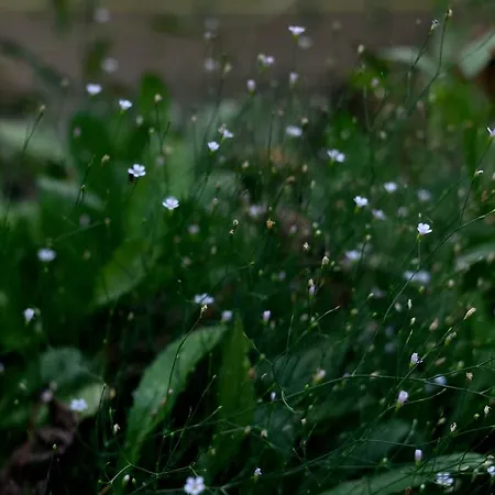 Guest House Konjic Konjic