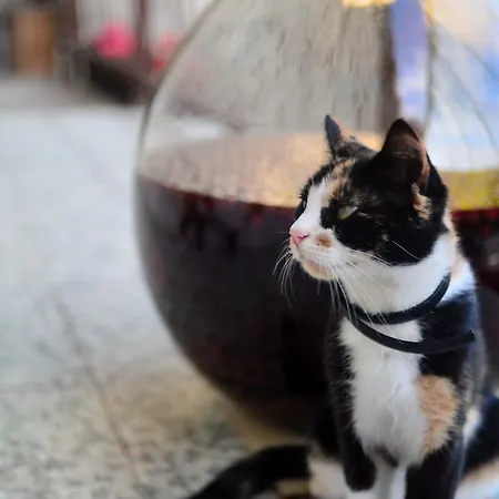 Affittacamere Guest House Konjic Konjic